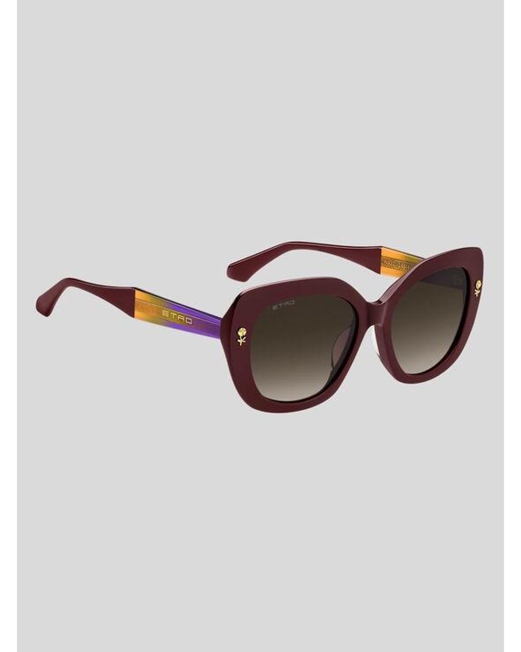Etro Brown Colour Stripes Sunglasses