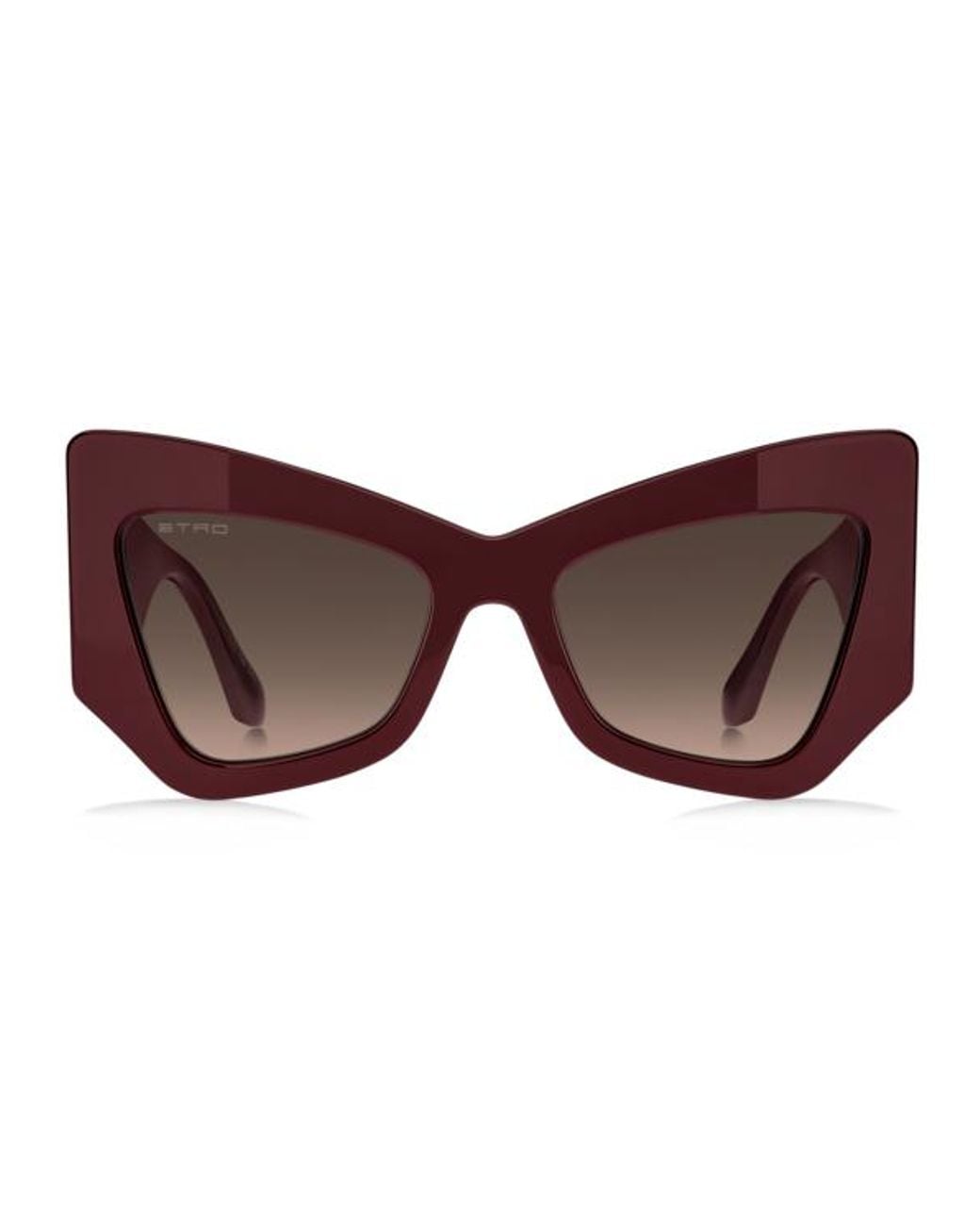 Etro Brown Sunglasses