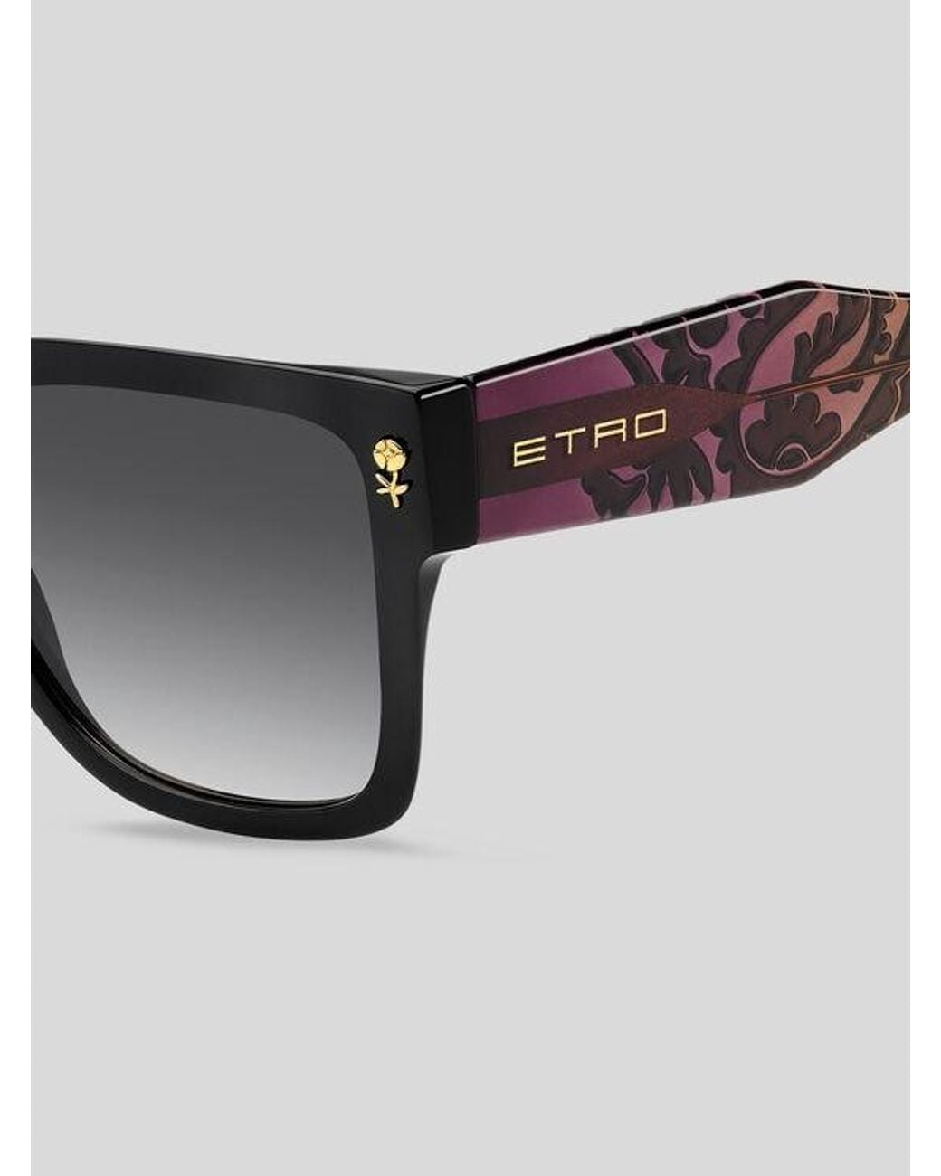Etro Brown Colour Stripes Sunglasses