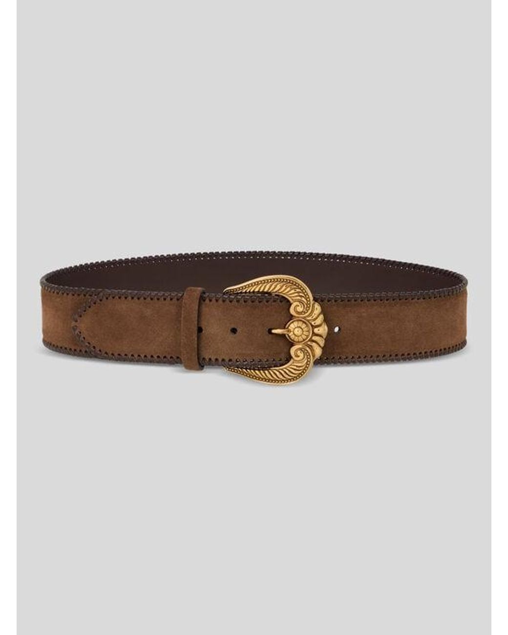 Cintura di Etro in Brown