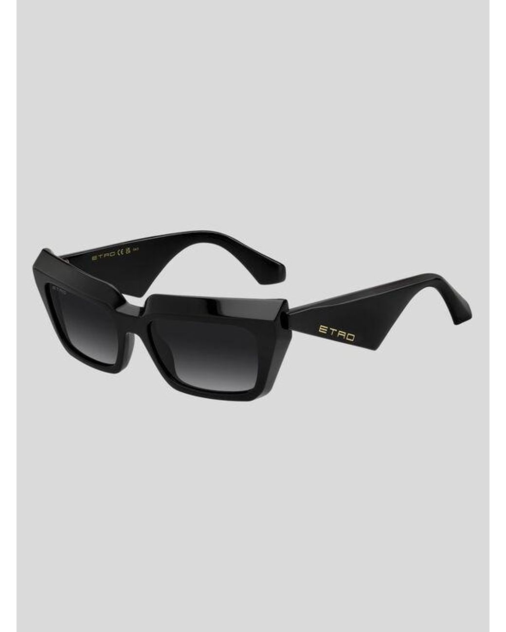 Occhiali Da Sole Tailoring, Donna di Etro in Black