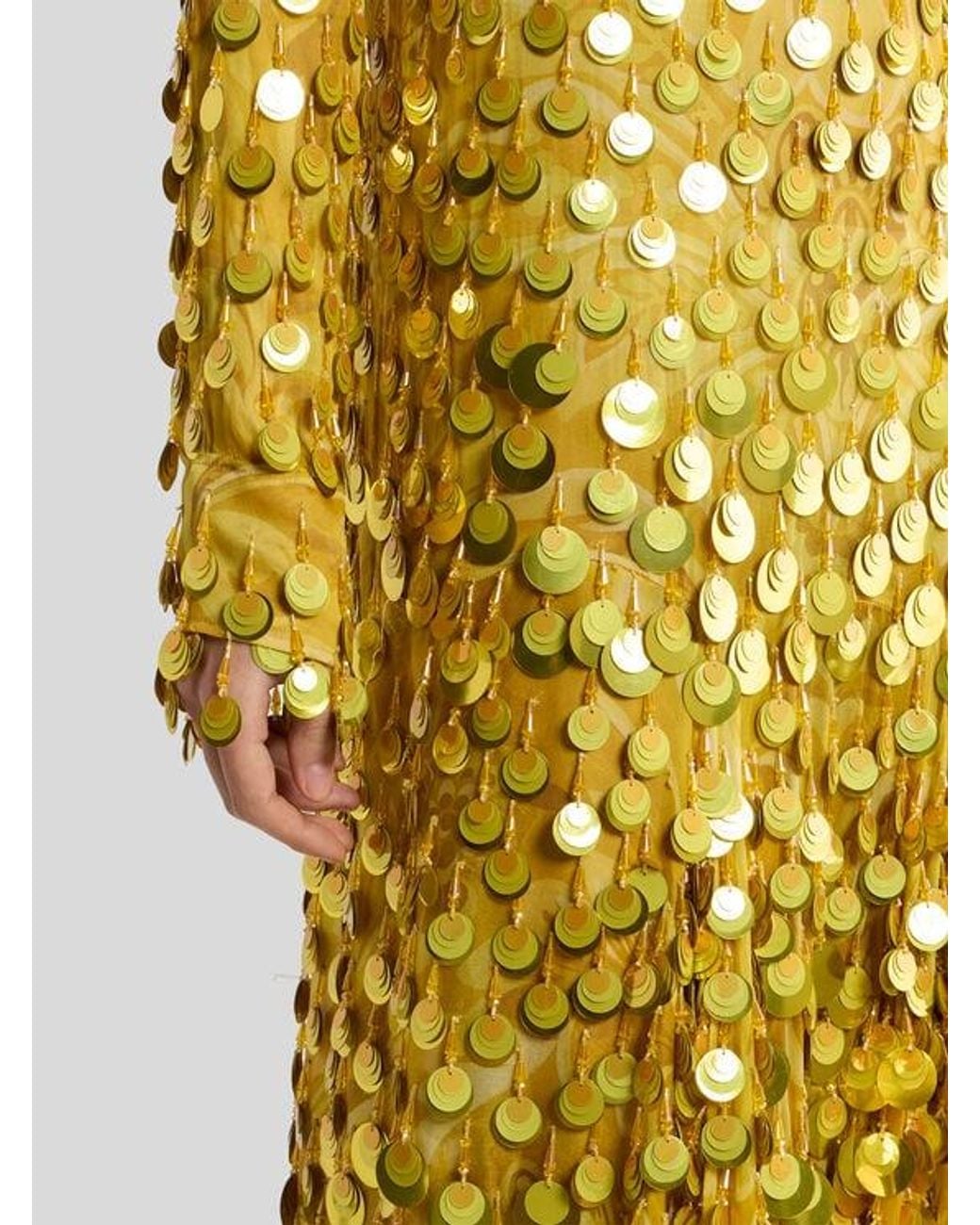 Etro Metallic Long Silk Dress With Sequin Embroidery
