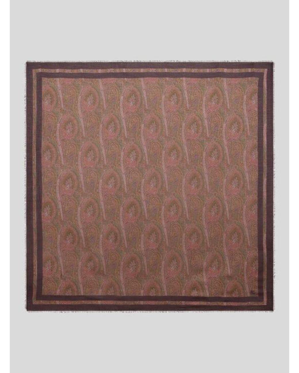 Etro Brown Floral Paisley Cashmere Shawl