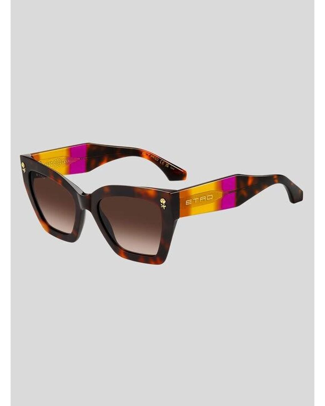 Etro Brown Colour Stripes Sunglasses