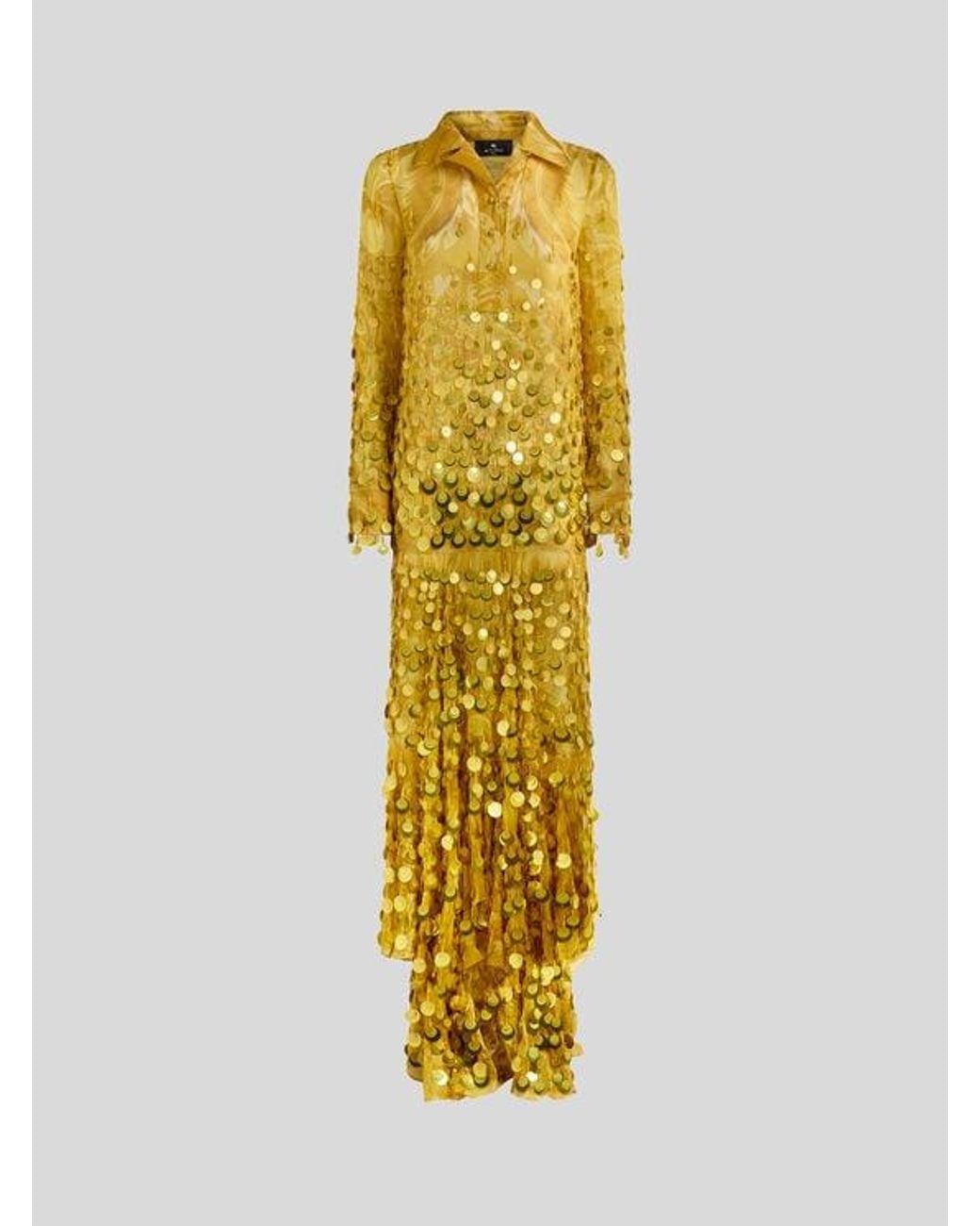 Etro Metallic Long Silk Dress With Sequin Embroidery