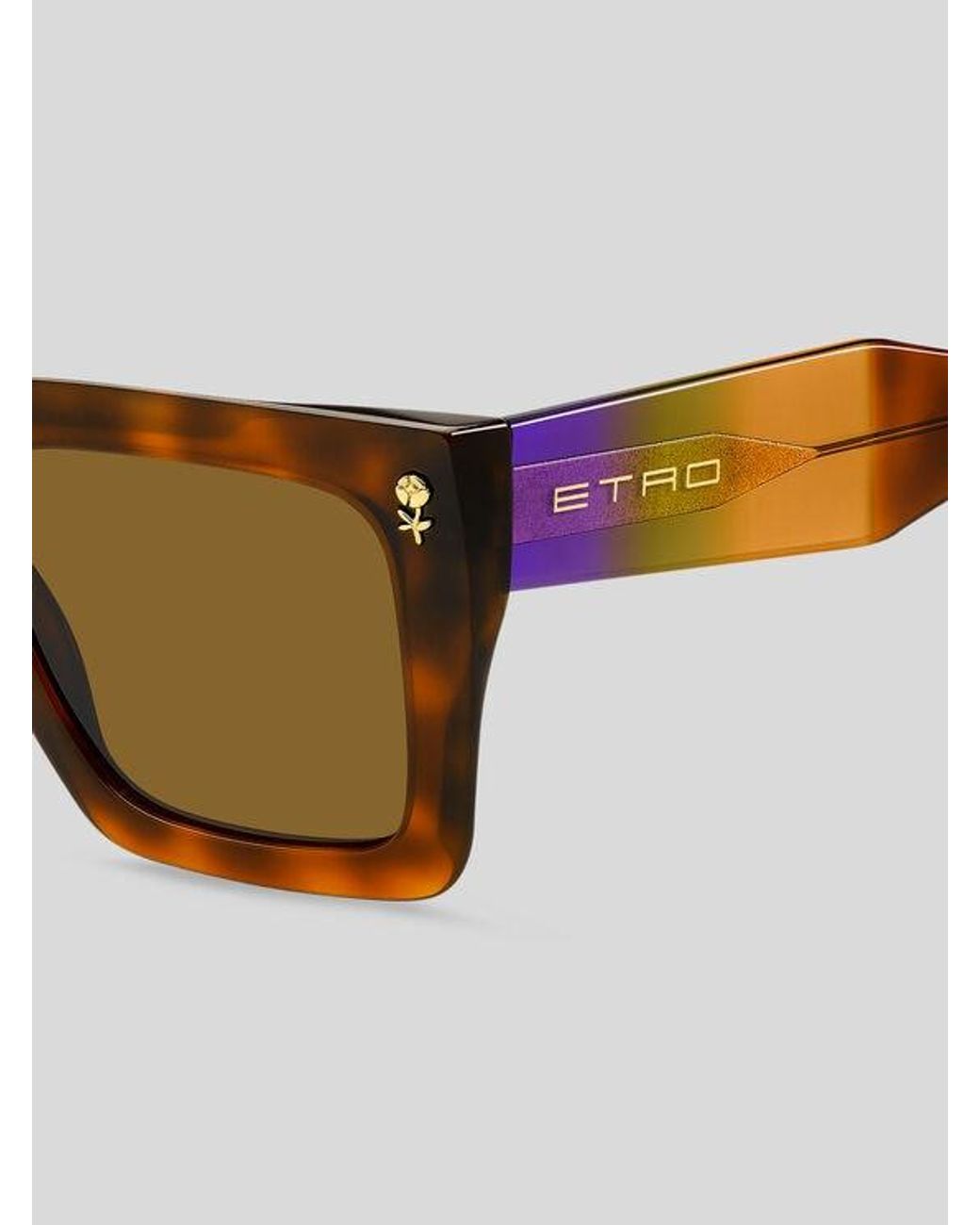 Etro Brown Colour Stripes Sunglasses