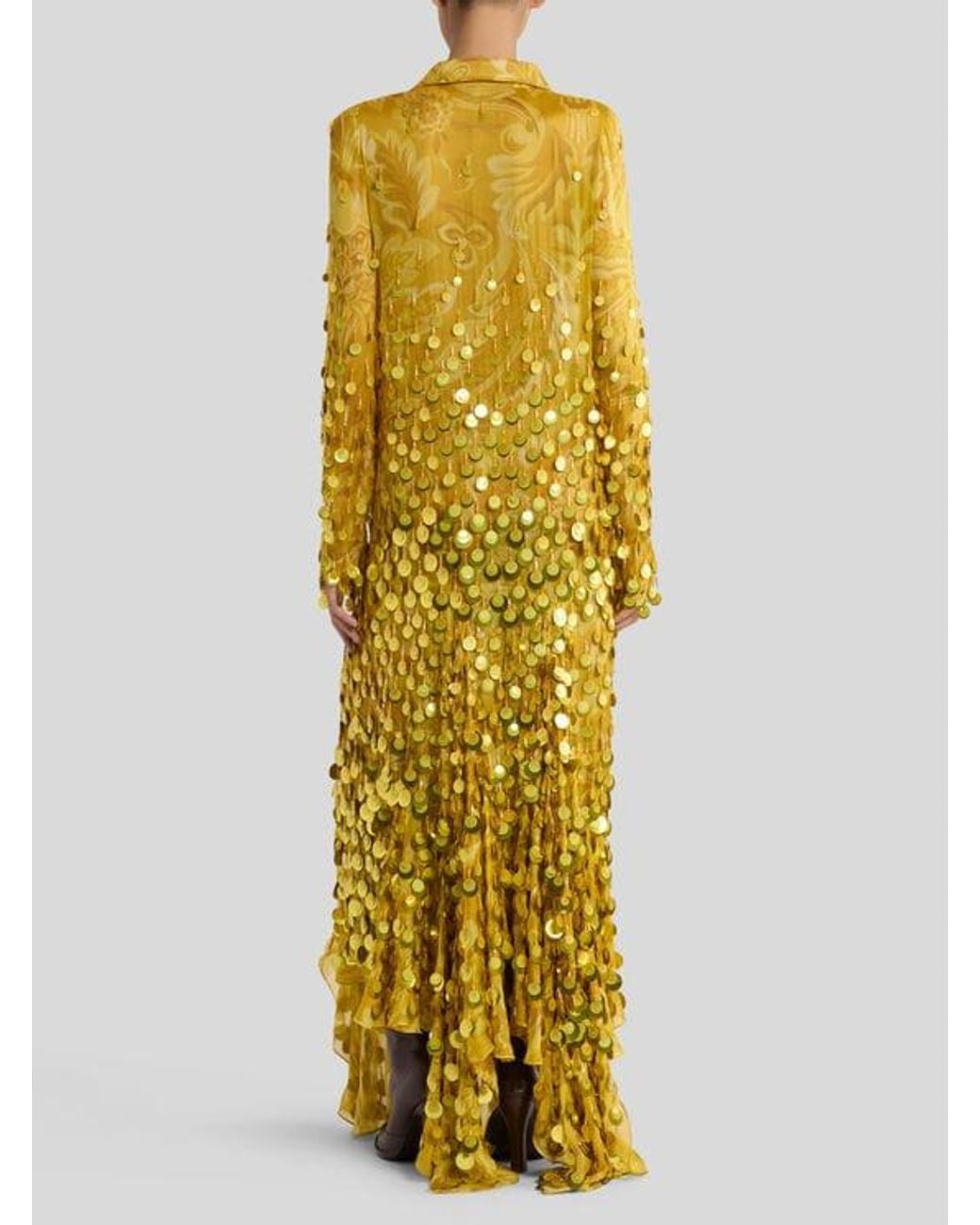 Etro Metallic Long Silk Dress With Sequin Embroidery