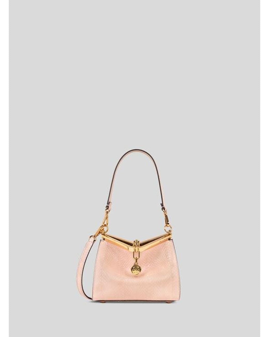 Etro Pink Small Vela Bag