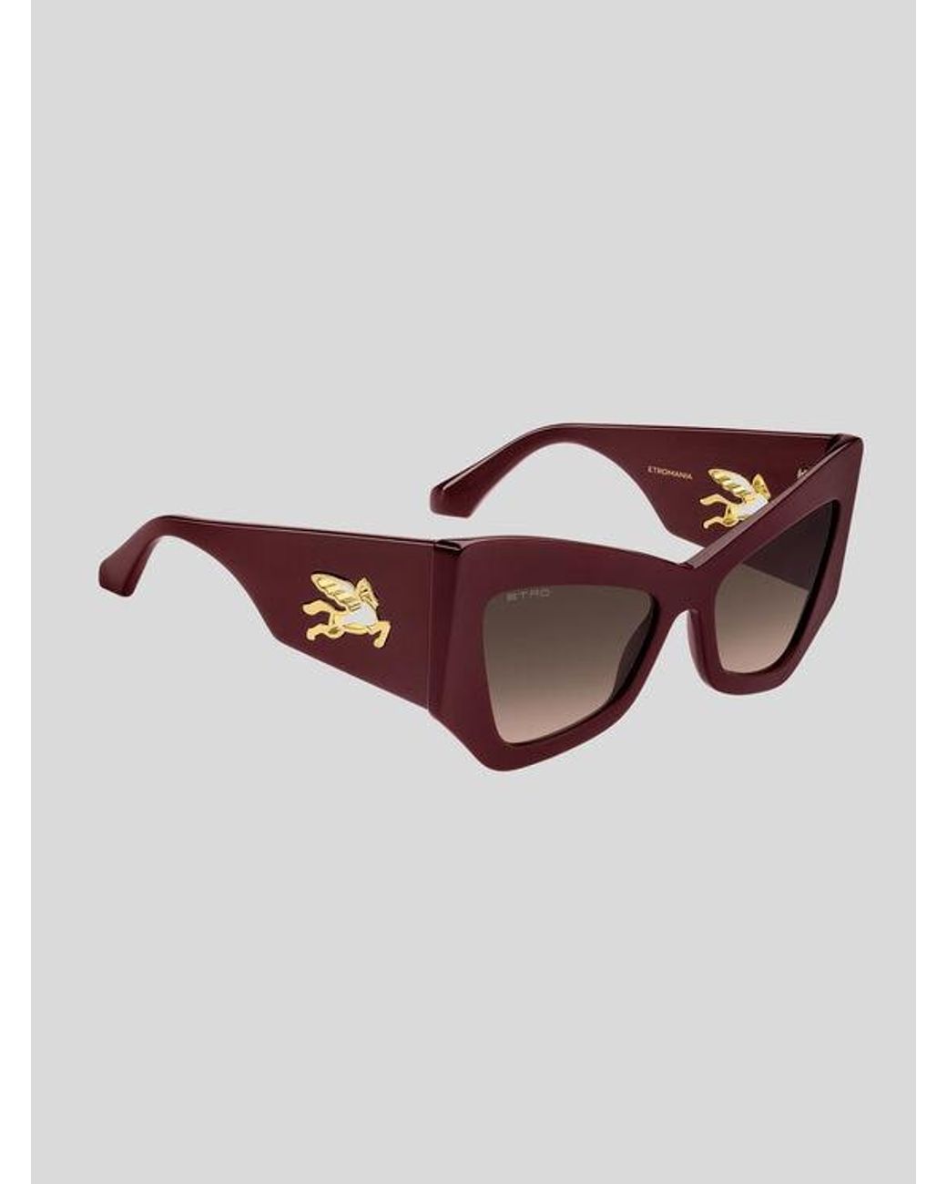 Etro Brown Sunglasses