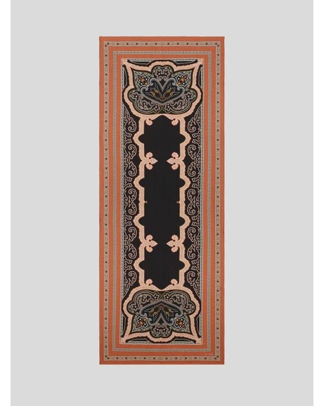 Sciarpa di Etro in Brown