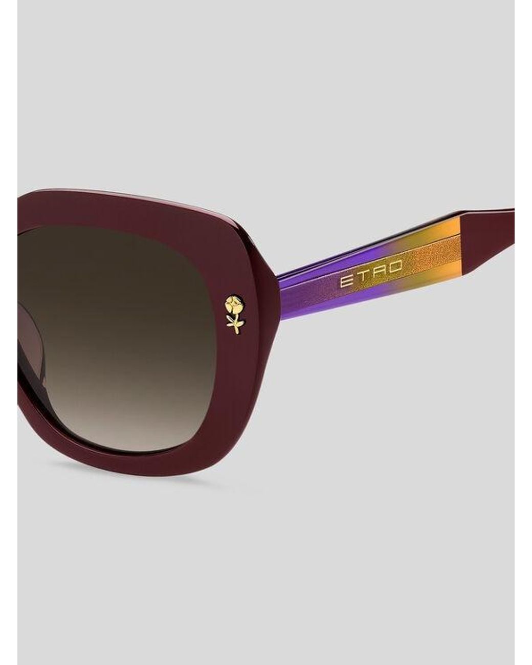 Etro Brown Colour Stripes Sunglasses