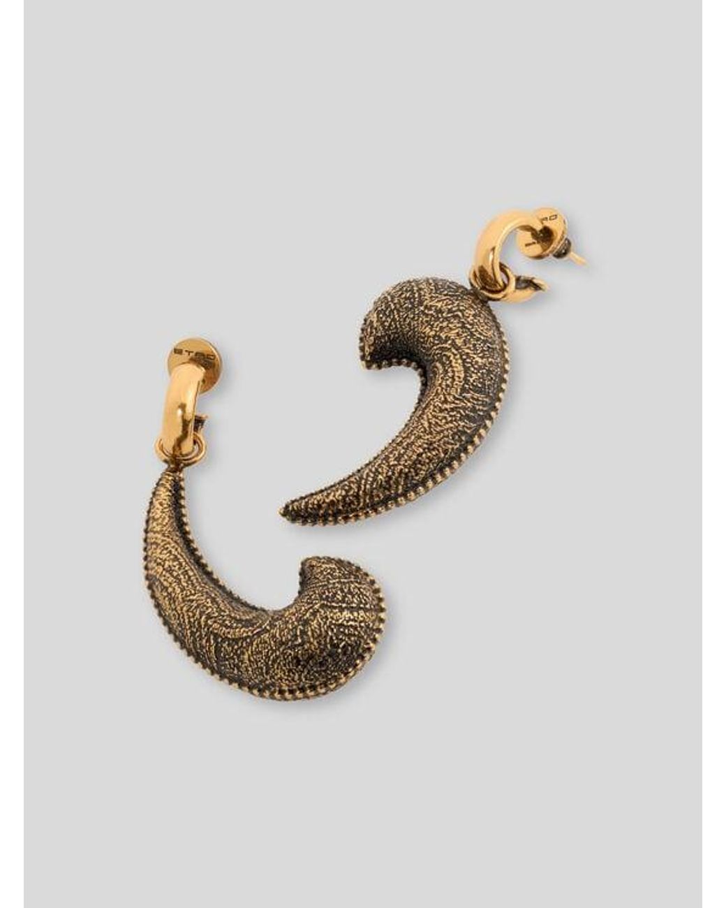 Etro Metallic Drop Earrings With Arnica Paisley