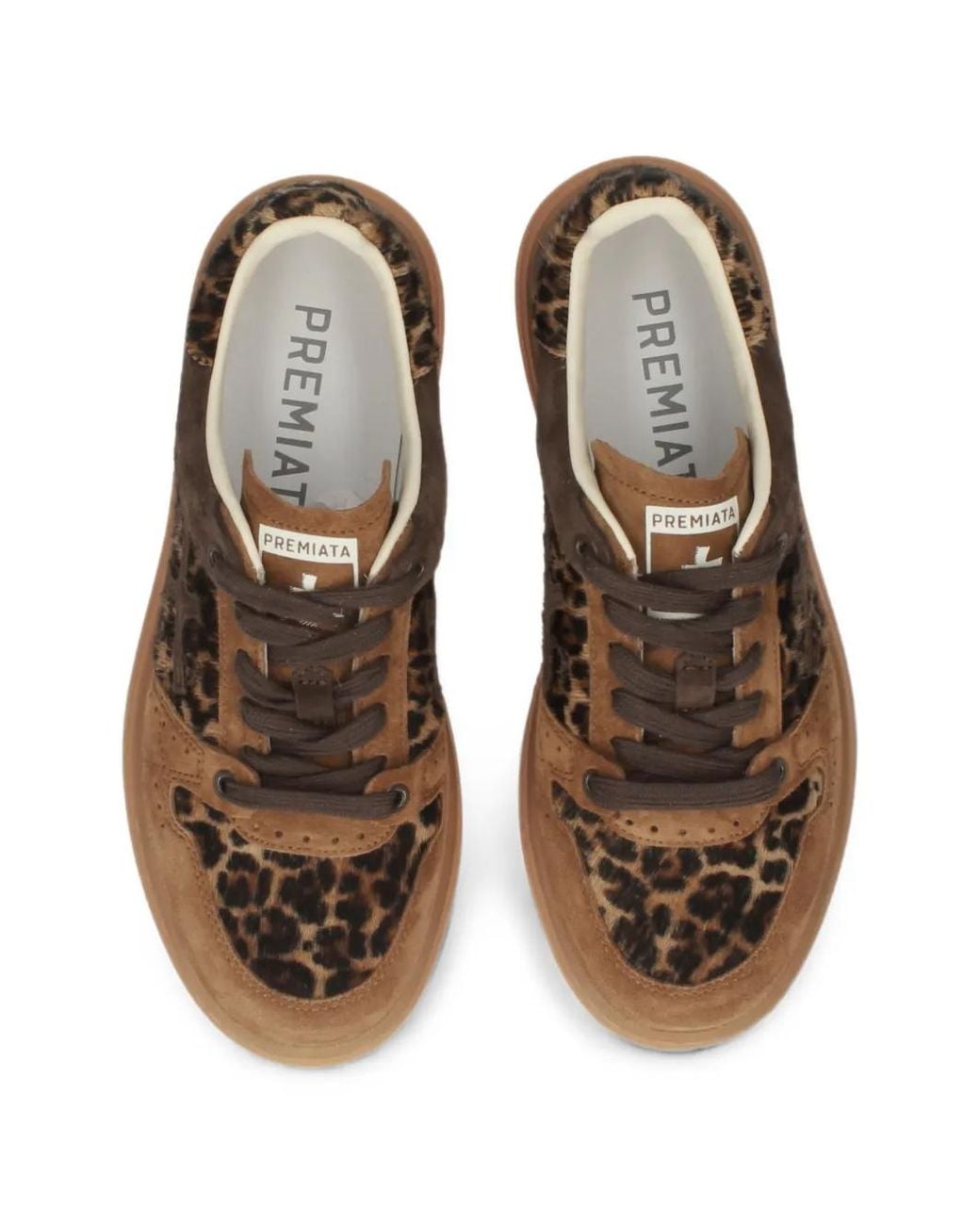Premiata Brown Quinnd 8643 Sneakers
