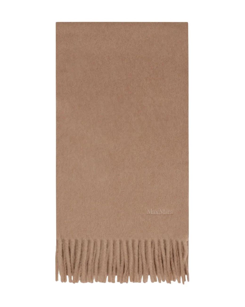 Max Mara Brown Scilli Fringed Scarf