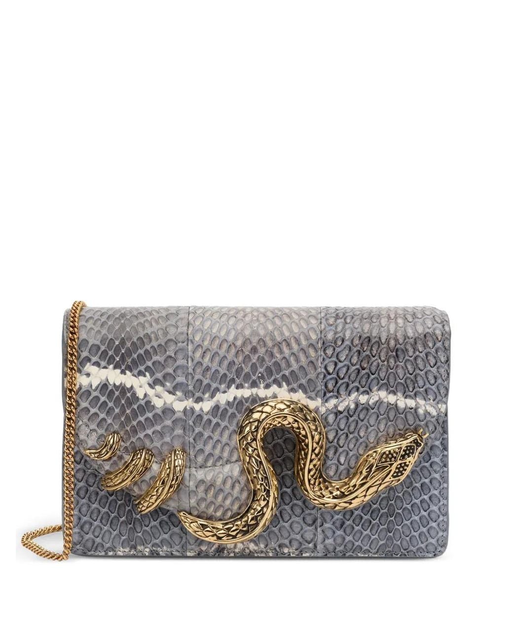 Clutch di Roberto Cavalli in Gray
