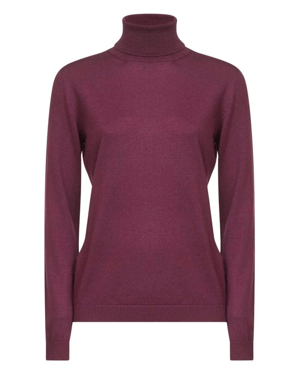 Blanca Vita Purple Turtleneck Ribbed Knitwear