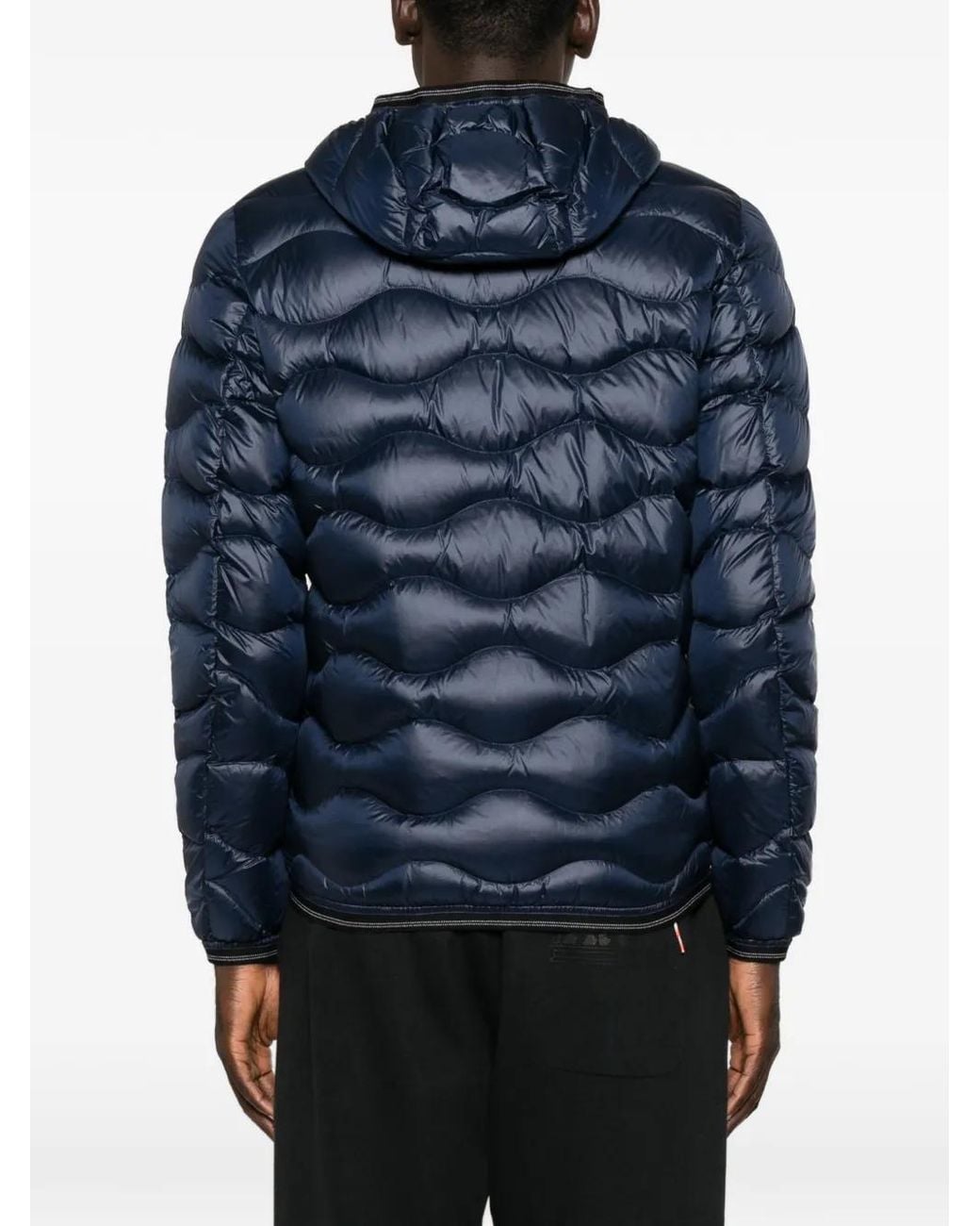 Blauer Blue Doudoune À Capuche for men