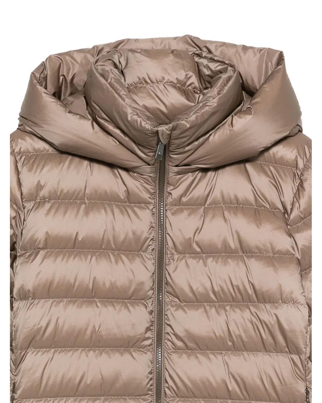 Seventy Natural Hooded Puffer Jacket