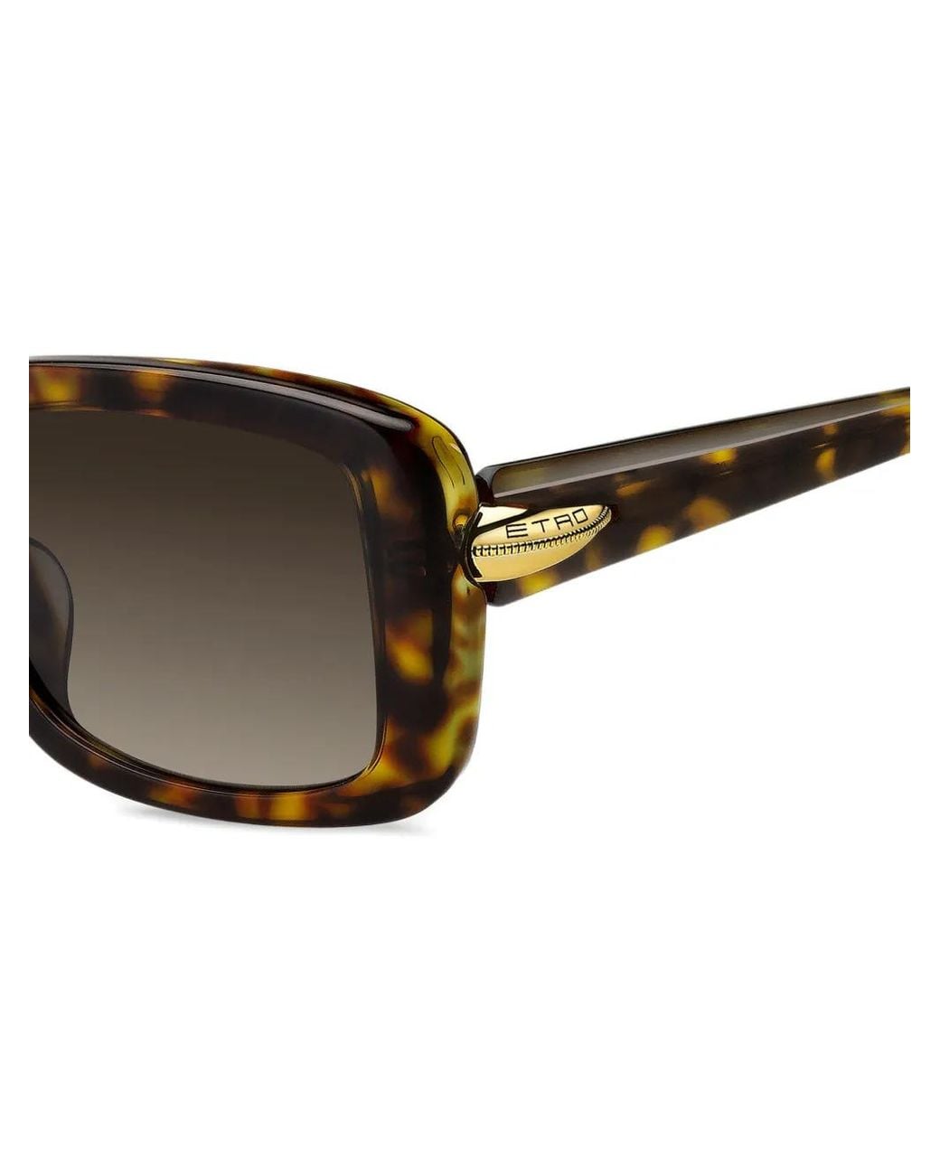 Etro Gray Rectangle-Frame Sunglasses