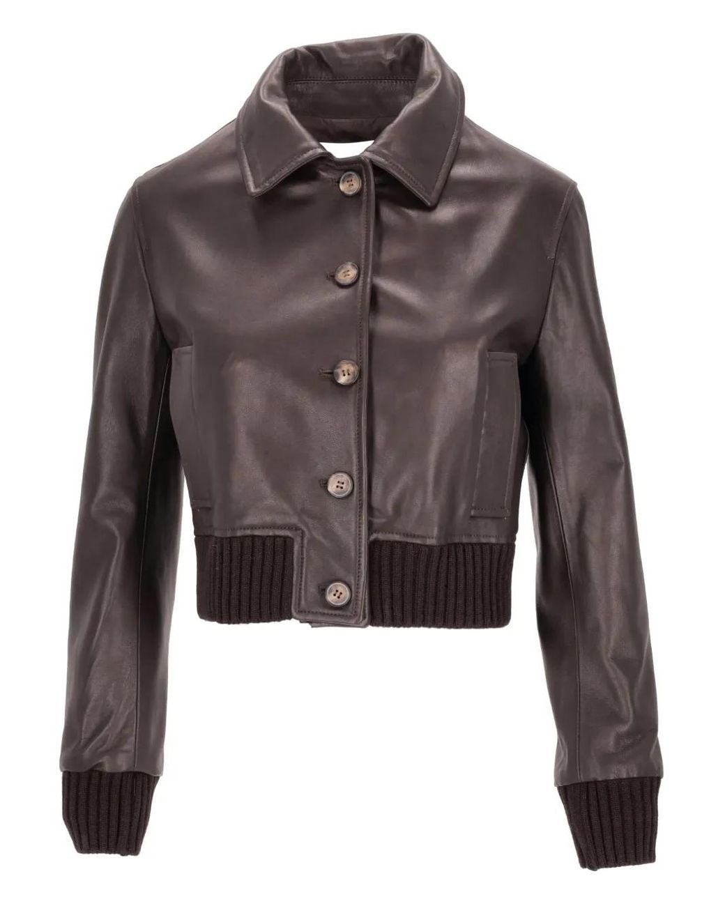 LA ROSE Cropped Jack in het Brown