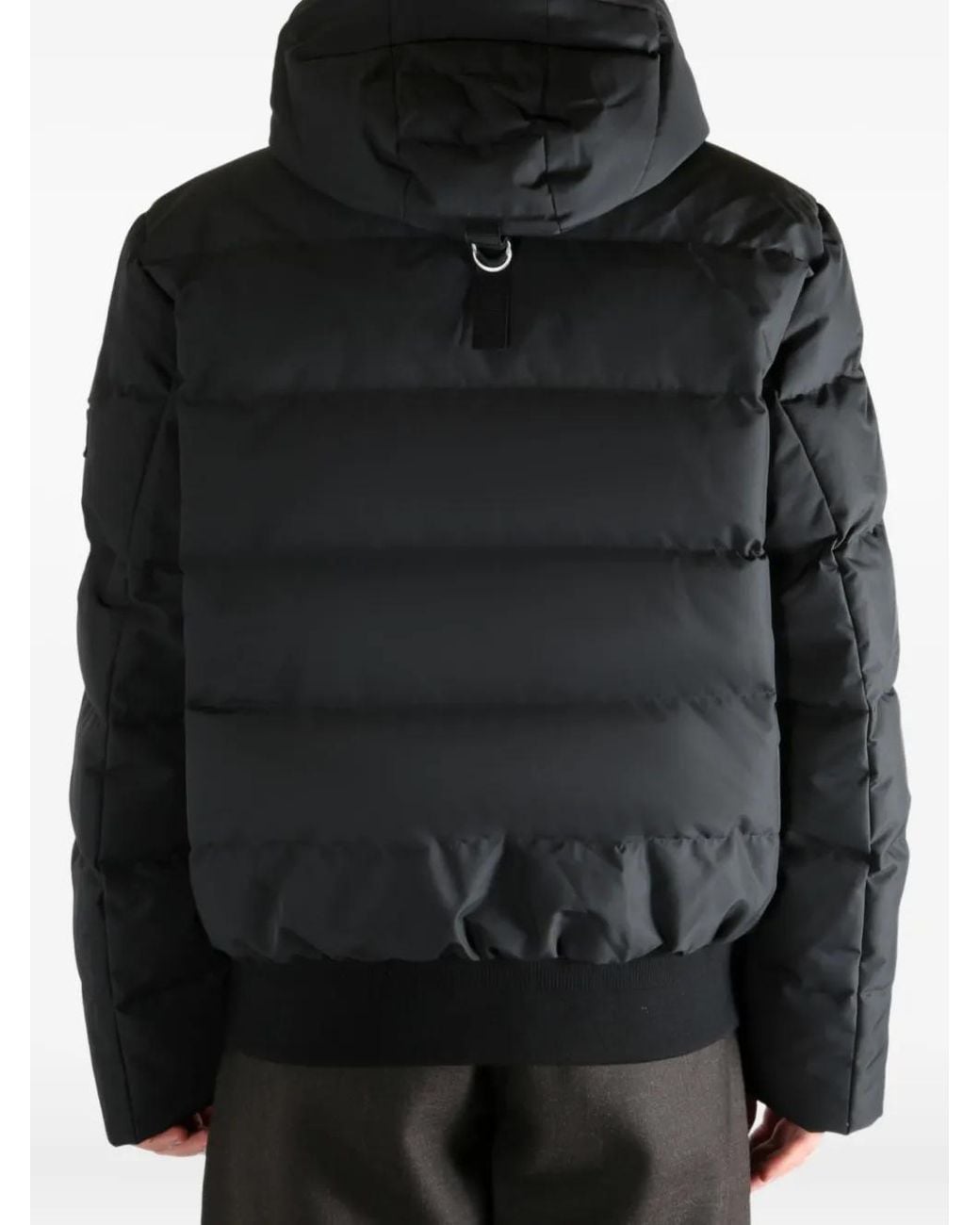 Moose Knuckles Black Jackets for men