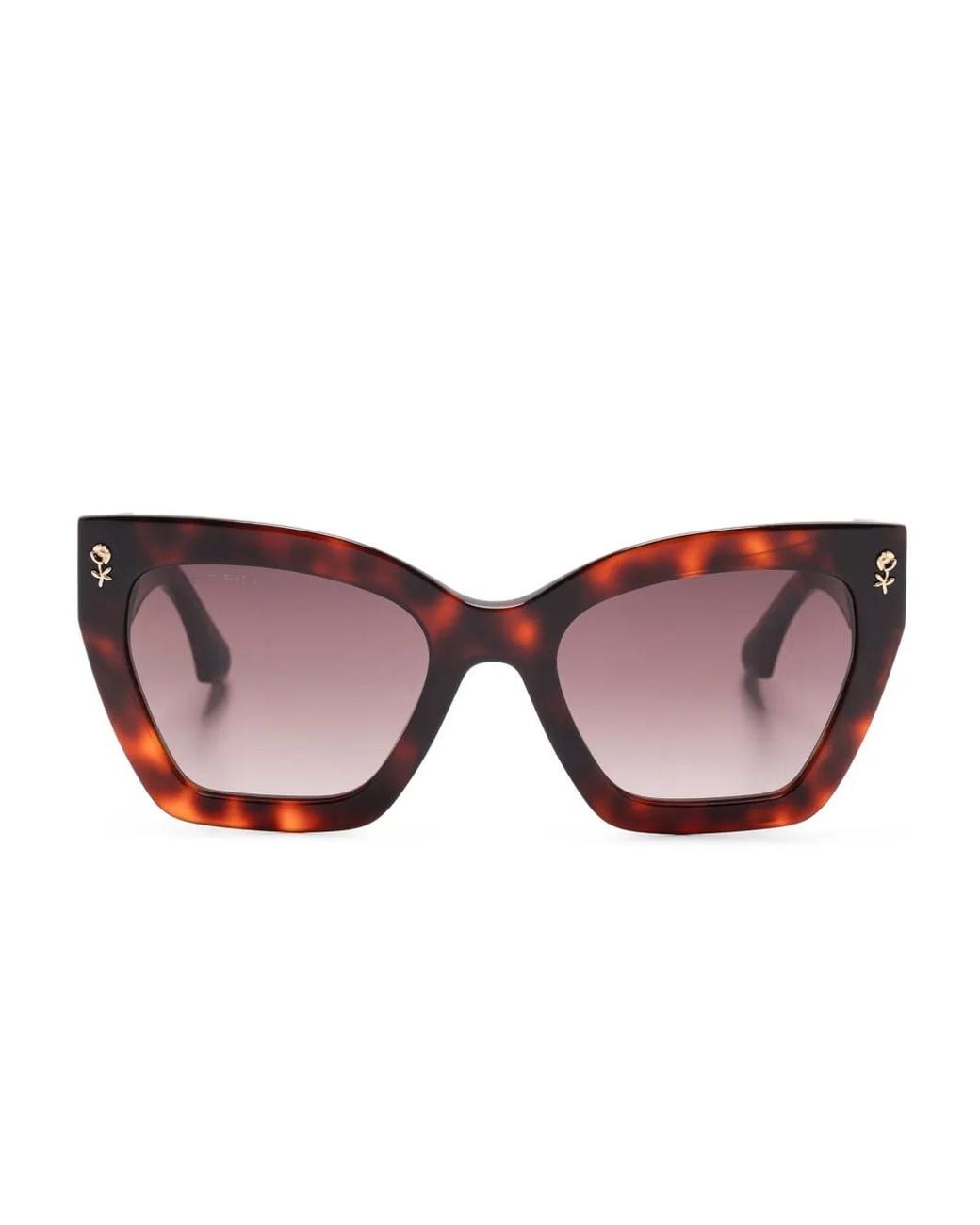 Etro Brown Butterfly-Frame Sunglasses