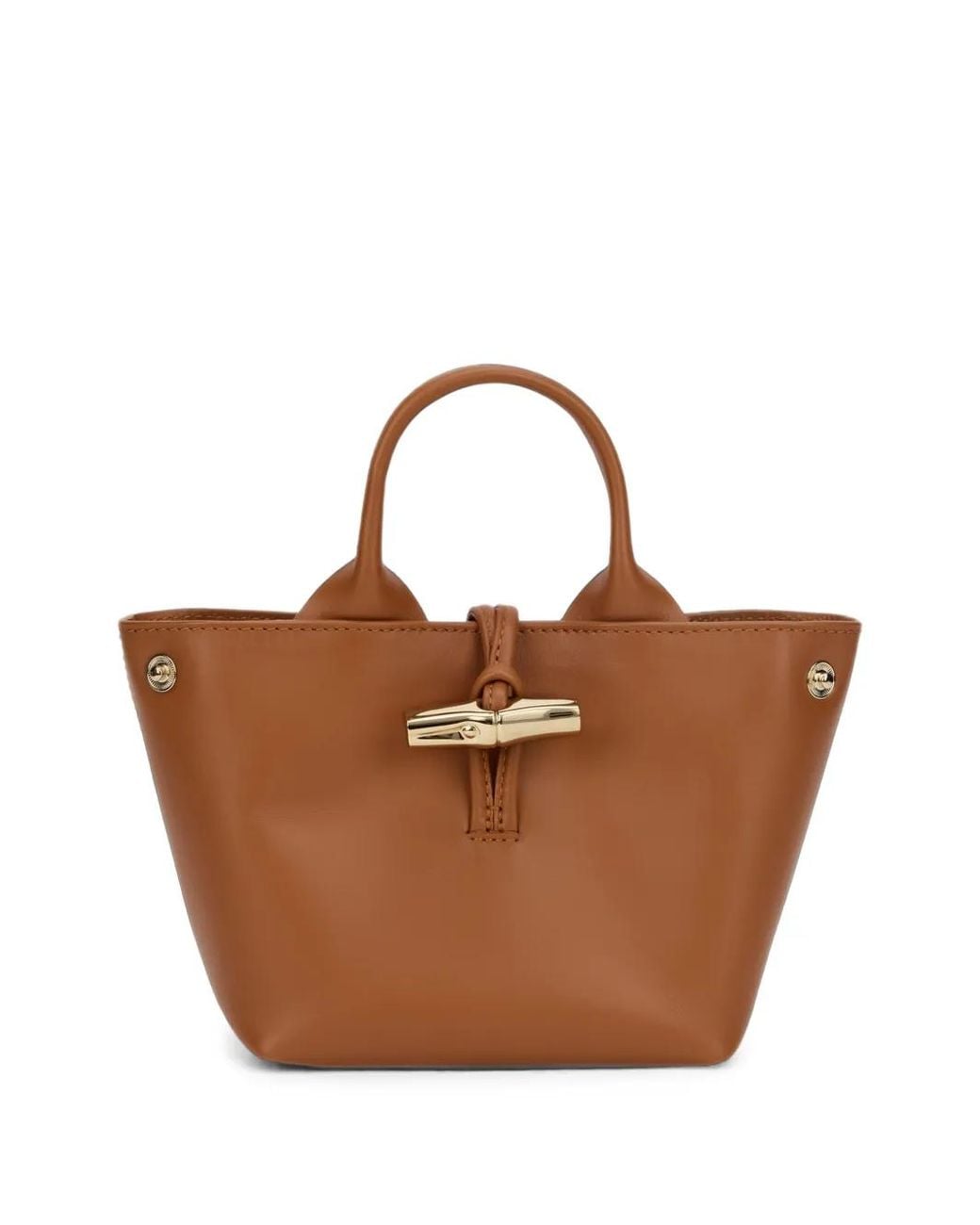 Longchamp Brown Le Roseau Xs Leather Handbag