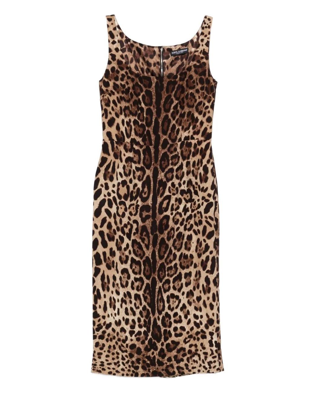 Dolce & Gabbana Natural Leopard-Print Silk-Blend Satin Midi Dress