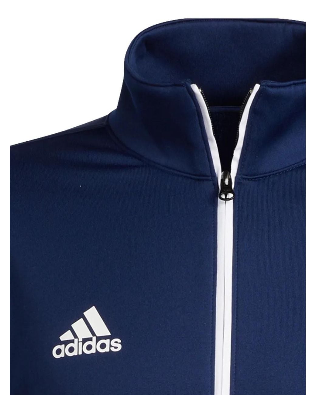 Adidas Blue Team Issue Half-Zip Sweater for men