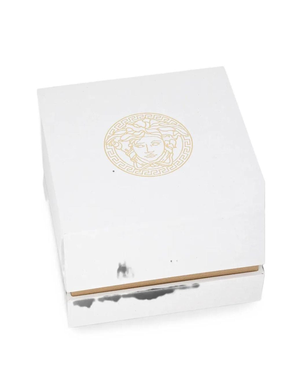 Versace Metallic Two-Tone 41Mm Watch for men