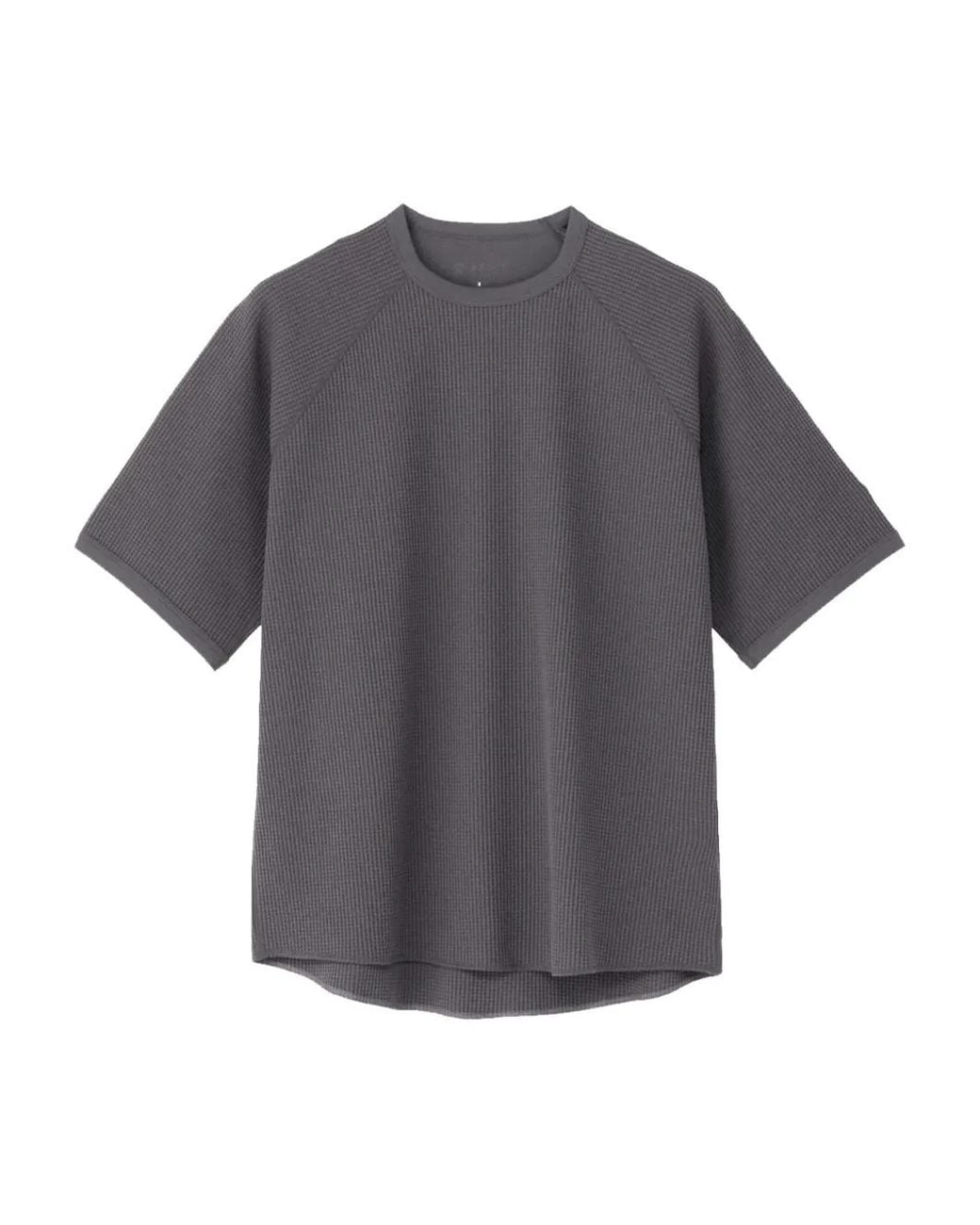 Goldwin Gray Wf Light T-Shirt for men