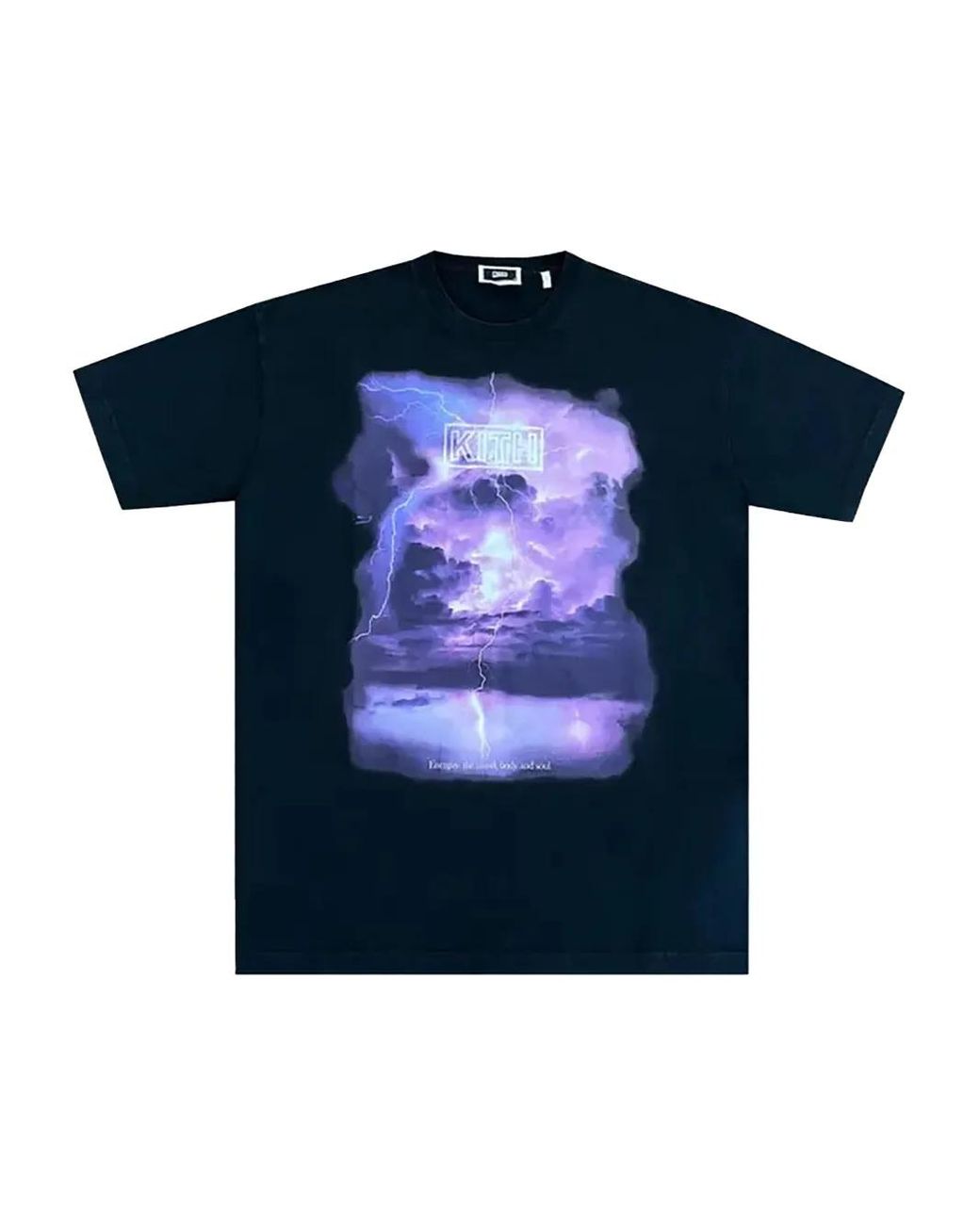 Kith Blue Perfect Storm T-Shirt for men
