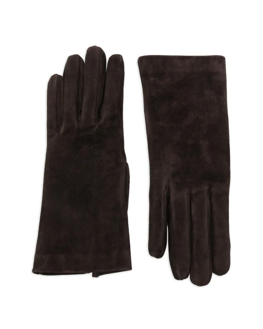 Gianvito Rossi Black Cam Gloves