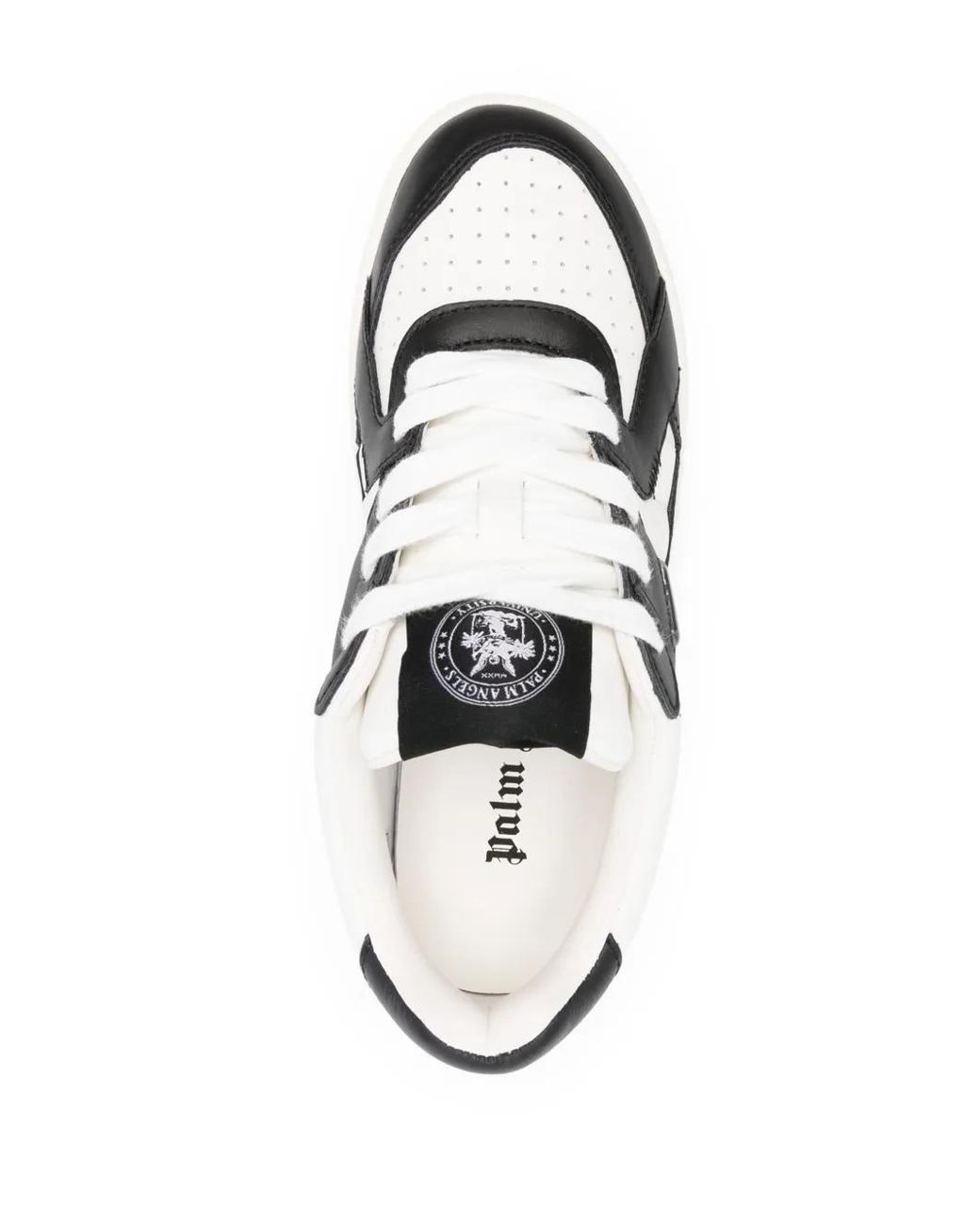 Palm Angels Black University Lace-Up Leather Sneakers