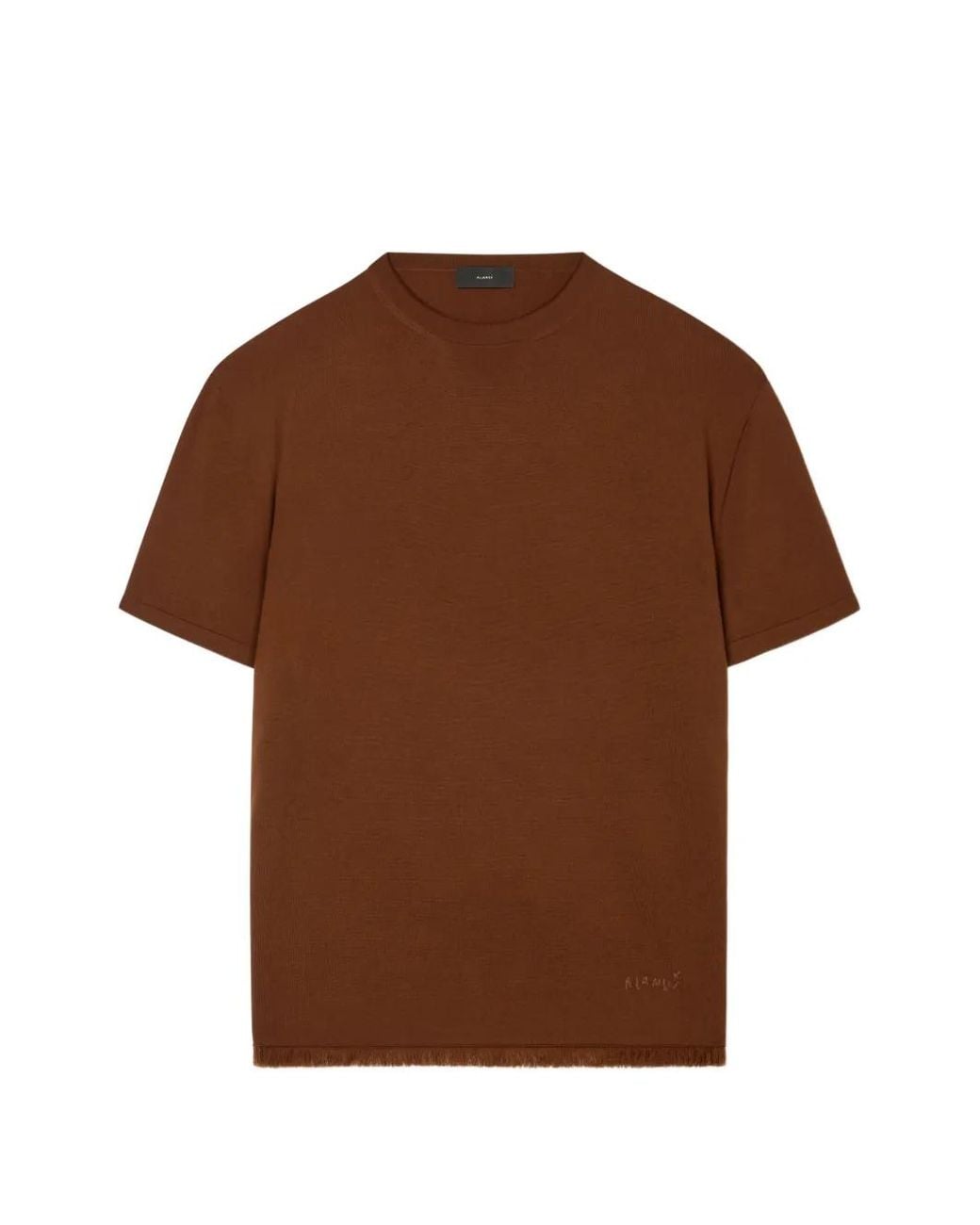 Alanui Brown Fringed Logo-Embroidered T-Shirt for men