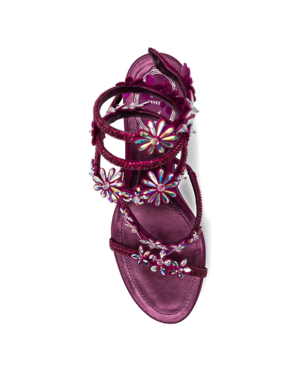 Rene Caovilla Purple Sandales Cassie 105 Mm