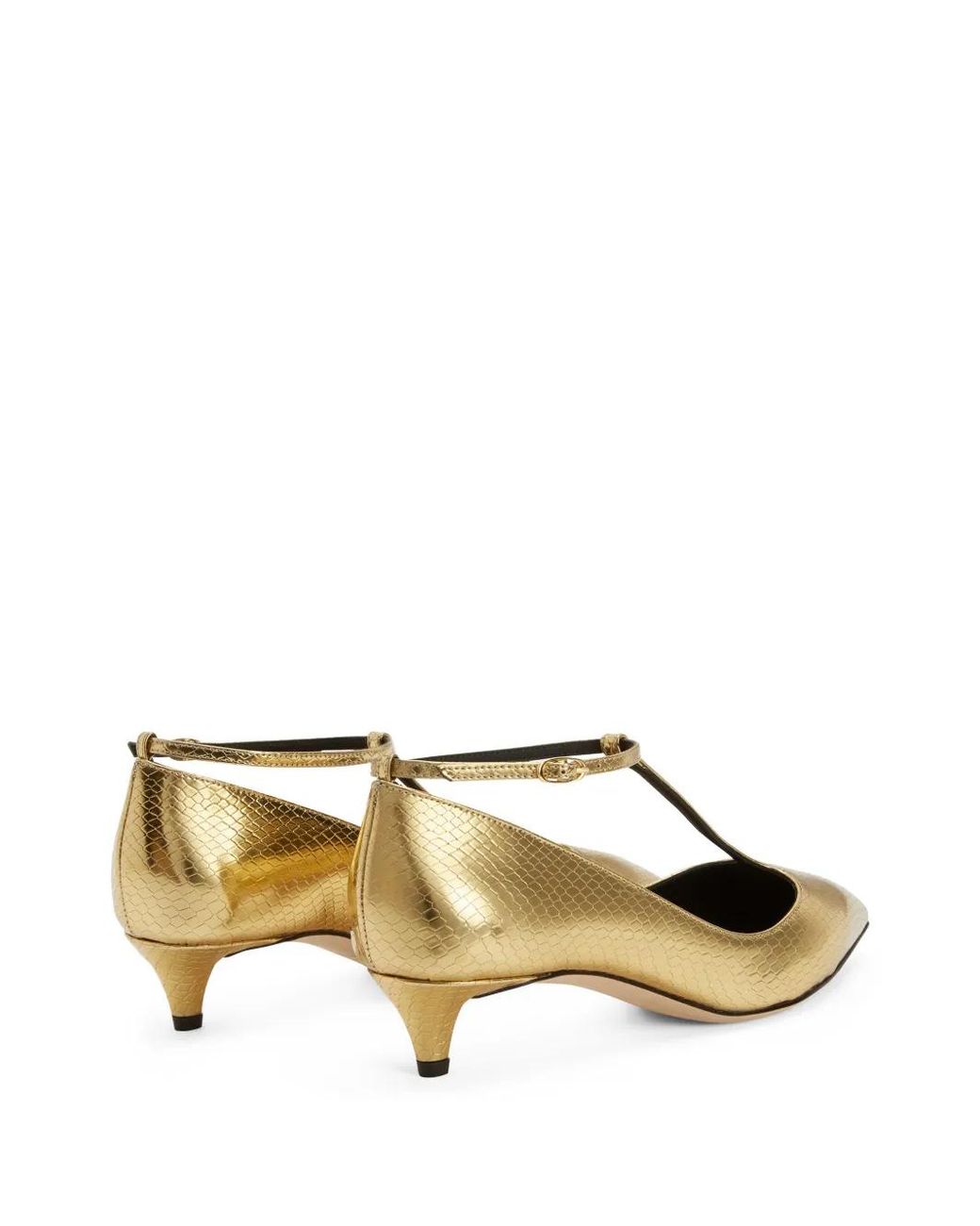 Giuseppe Zanotti Natural Pumps