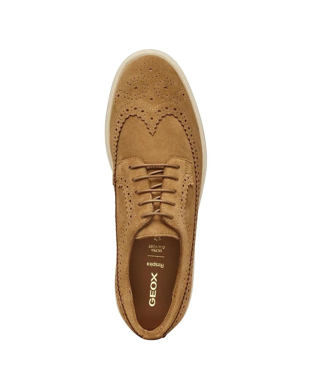 Geox Brown Spherica Ec17 Brogue-Detail Lace-Up Shoes for men