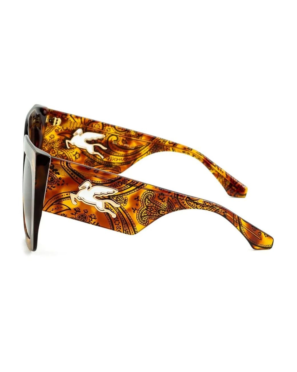 Etro Brown Square-Frame Sunglasses