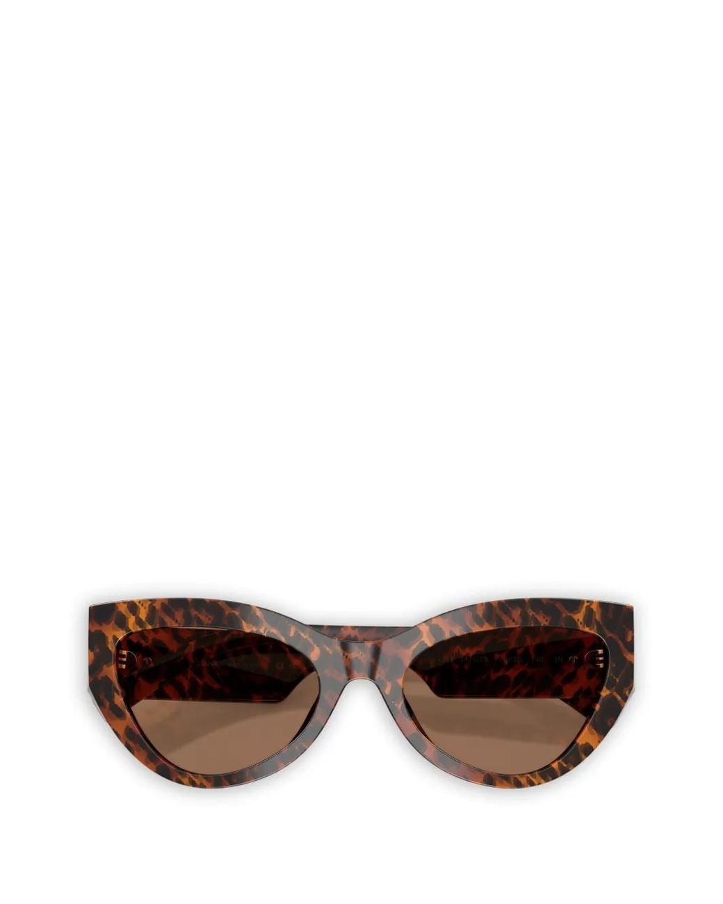 Dolce & Gabbana Brown Devotion Sunglasses