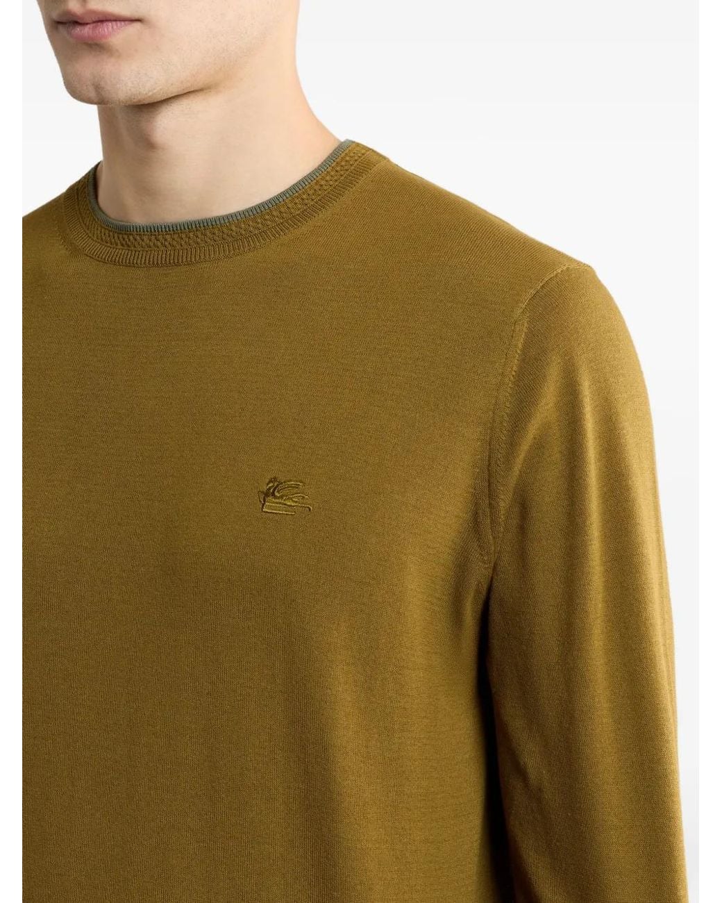 Etro Green Pegaso-Embroidered Jumper for men