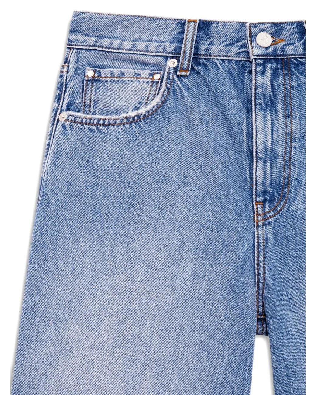 Anine Bing Blue Jasper Shorts