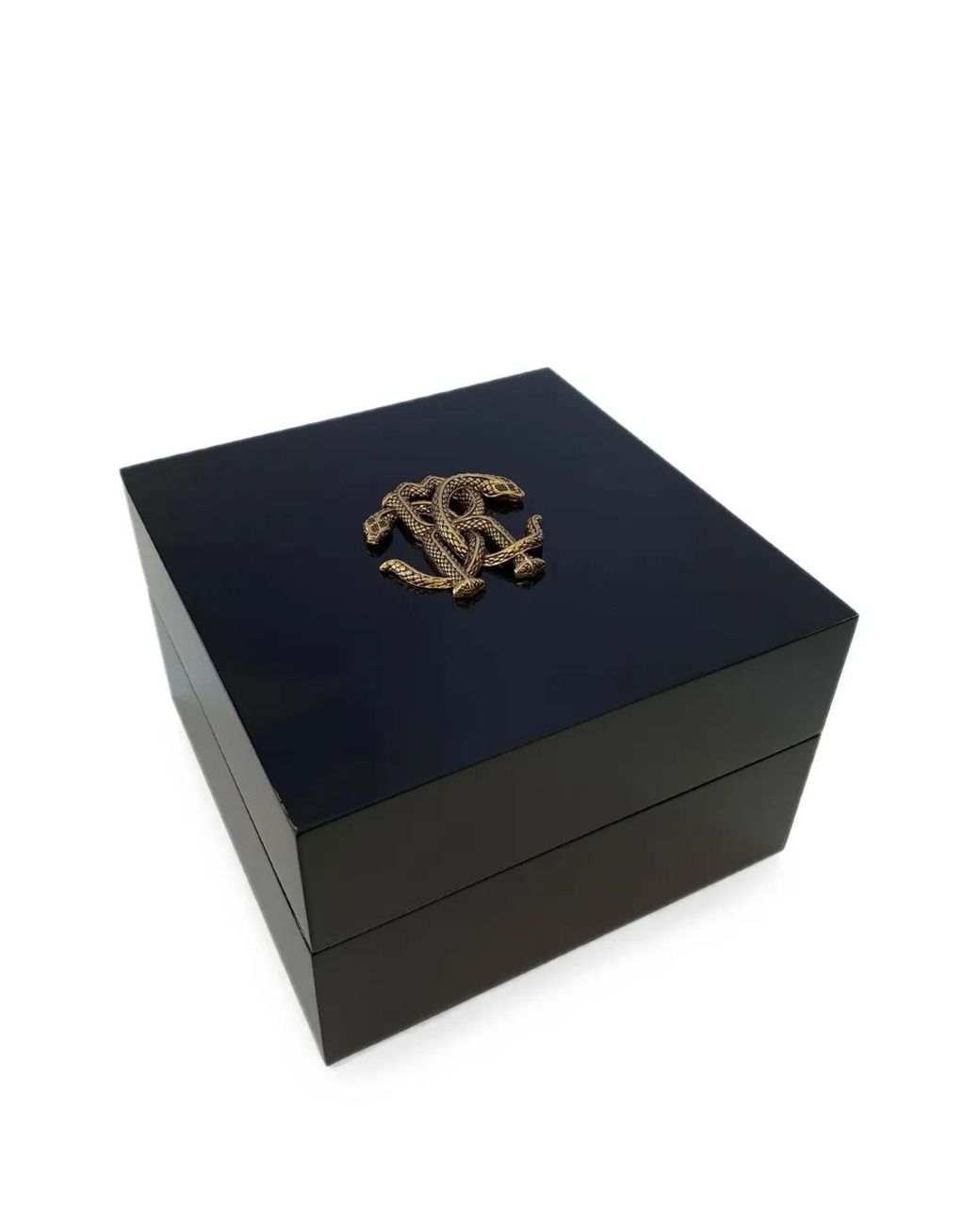 Roberto Cavalli Blue Tonneau-Case Chronograph 43Mm Watch for men