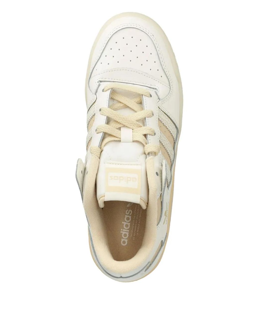 Adidas Natural Forum Low Sneakers