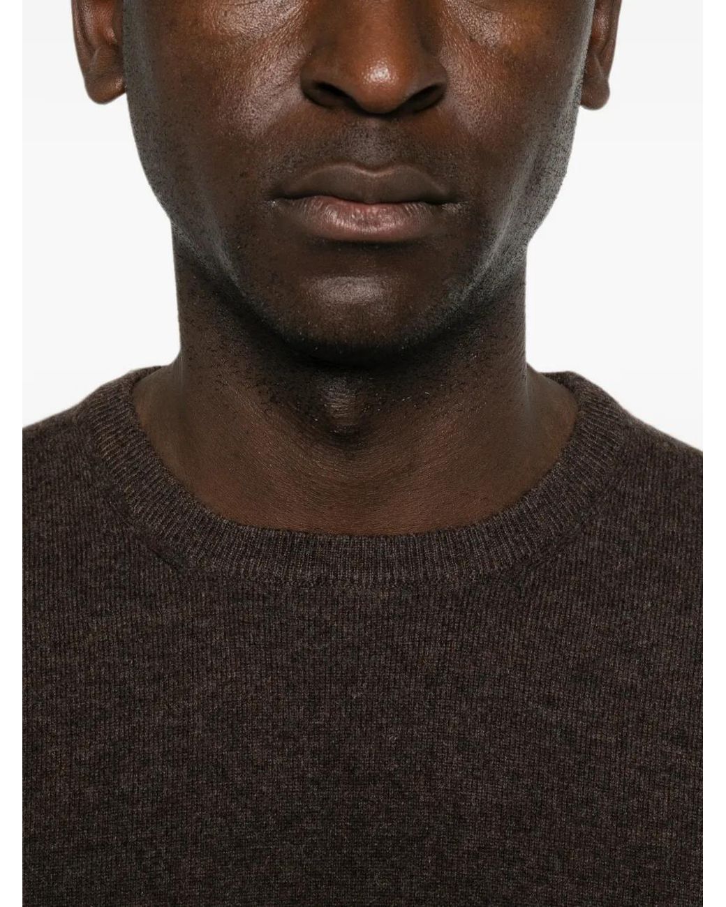 Fileria Brown Crew-Neck Long-Sleeve Knit for men