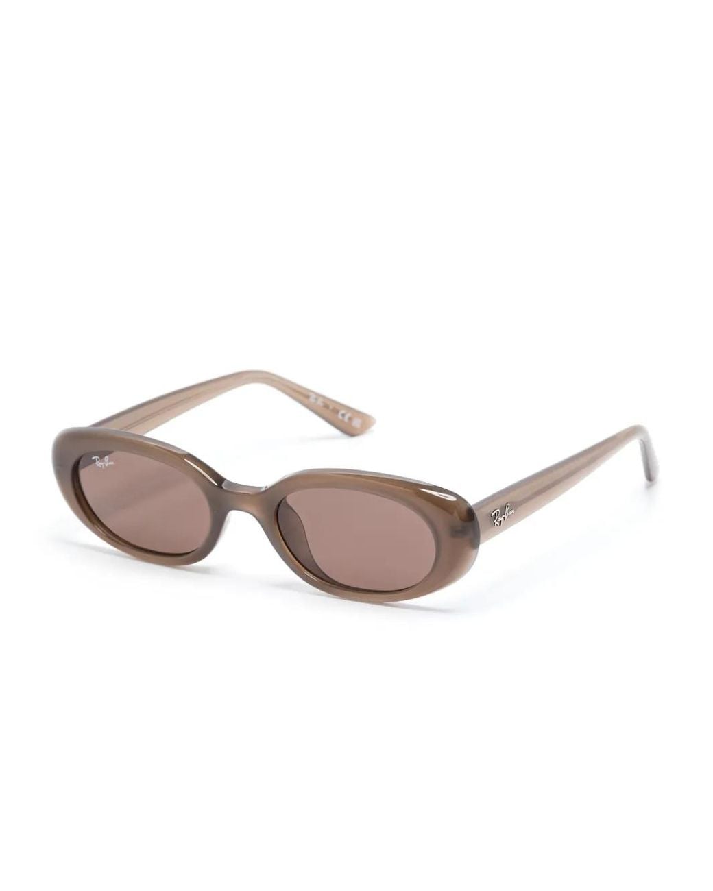 Ray-Ban Brown Round Acetate Frame Sunglasses