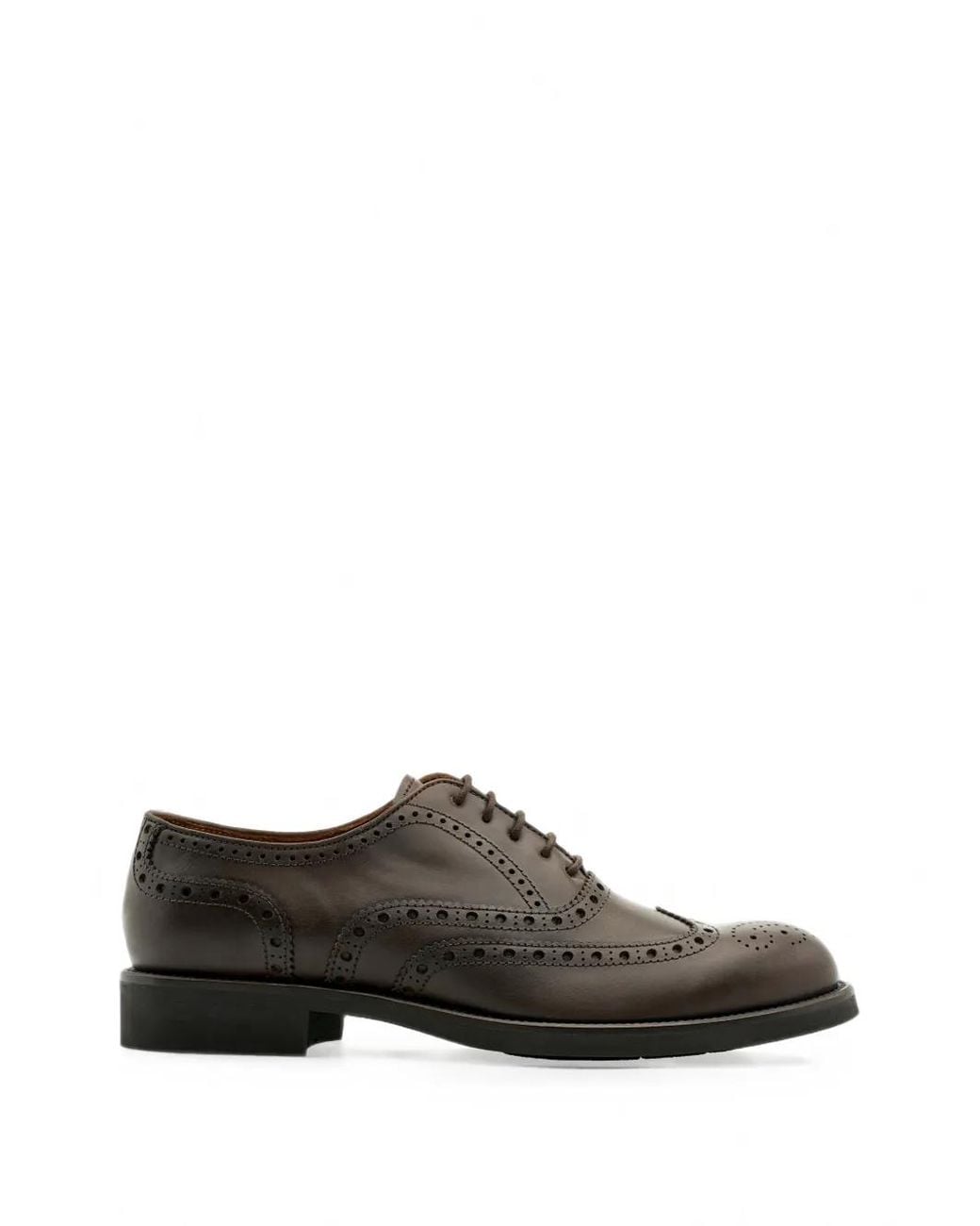 Lottusse Gray Chelsea Brogue Oxford Shoes for men
