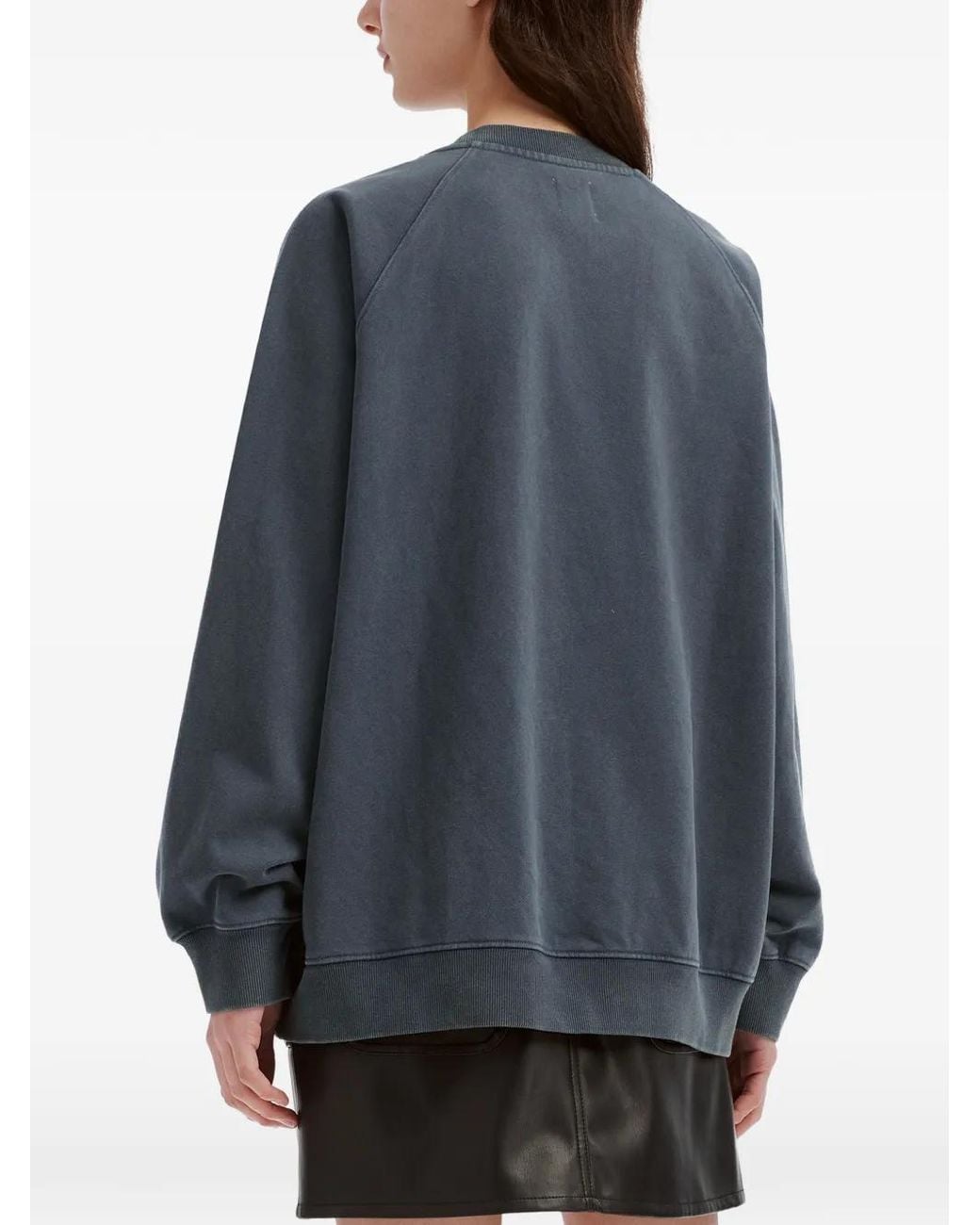 B+ AB Blue Dog-Print Raglan-Sleeve Sweatshirt