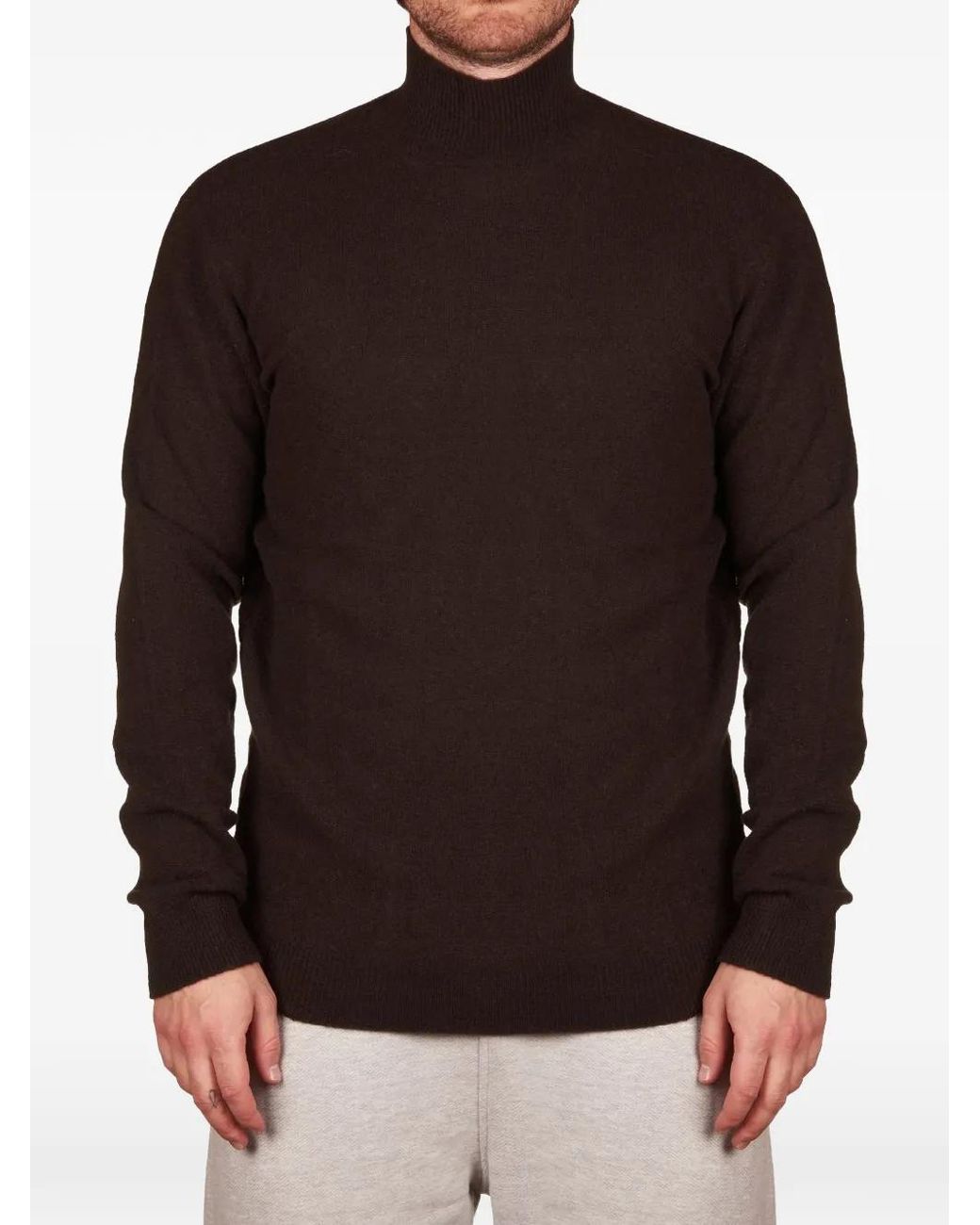 Altea Brown High-Neck Fine-Knit Sweater for men