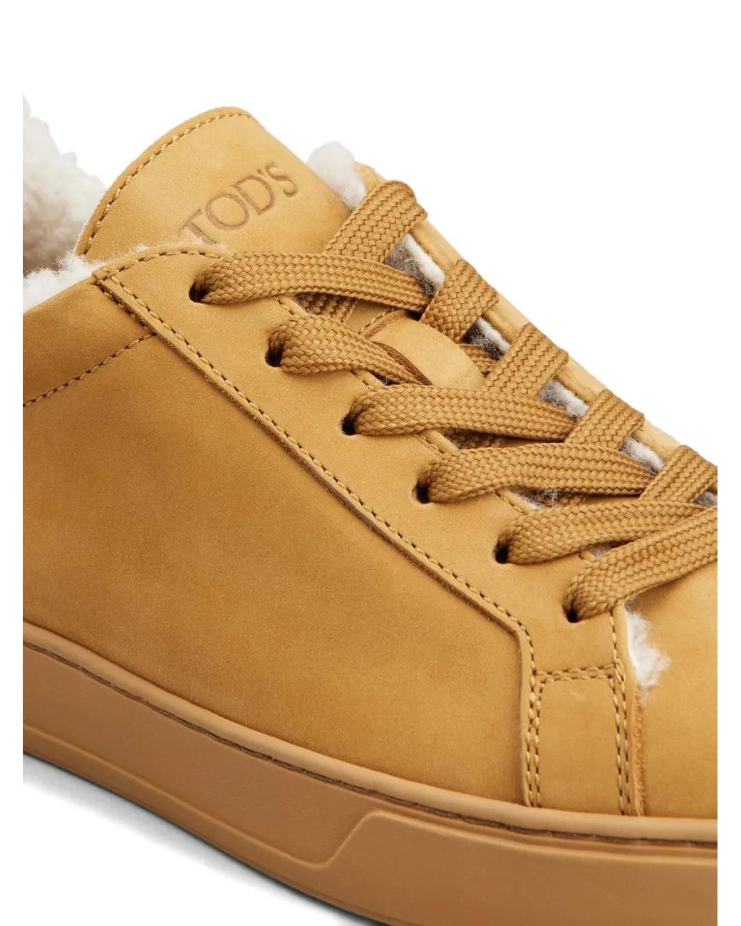 Tod's Brown Sneakers